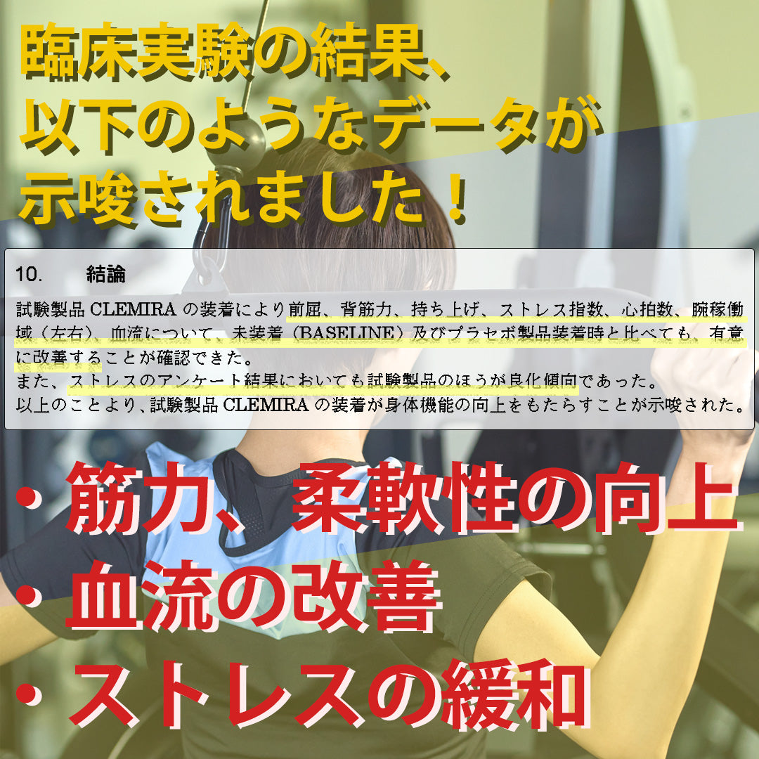 クルミラ CLEMIRA PHOENIX